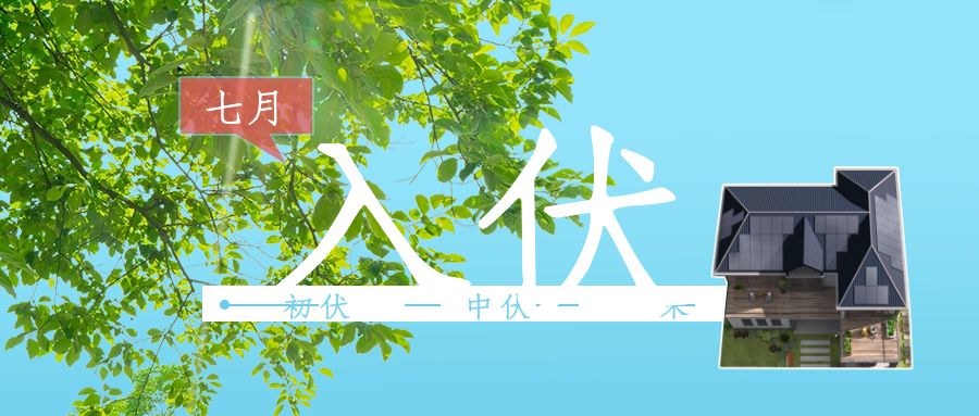 今日入伏，那些安装光伏的人笑了